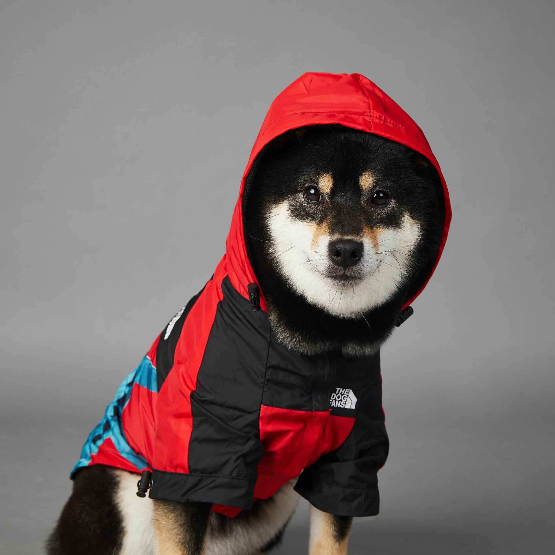 The Dog Fans Regenjacke NY in 3 verschiedenen Farben